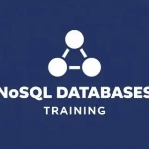 NoSQL Databases